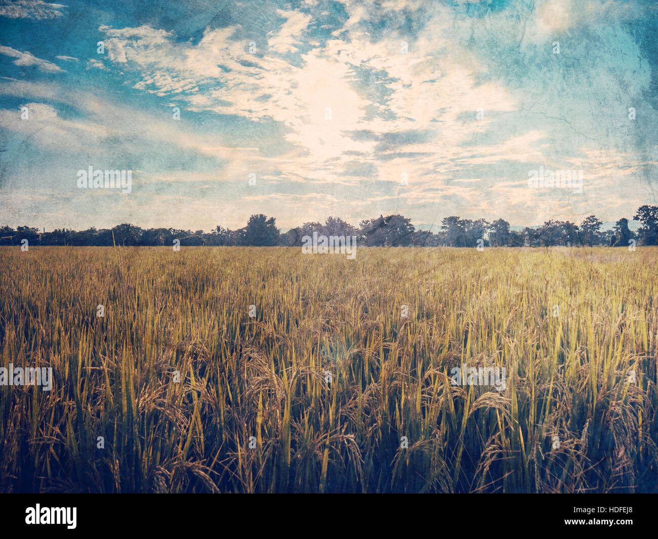 Grunge filter hi-res stock photography and images - Alamy