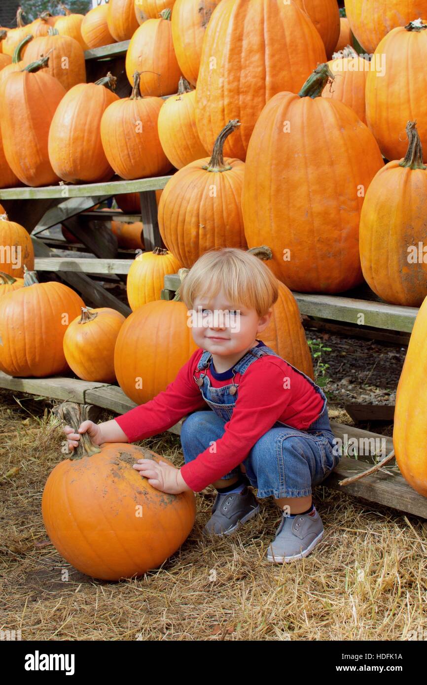 adorable toddler boy wearing overalls with pumpkins in farm during fall