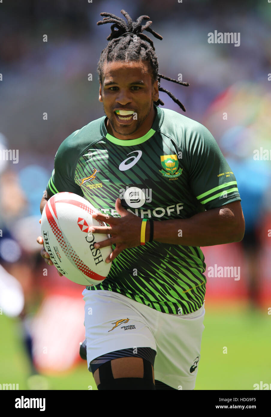 Springbok rugby players hires stock photography and images Alamy