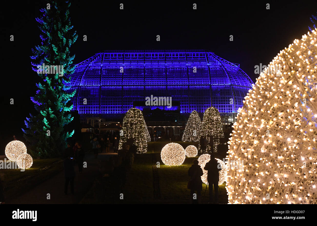 Berlin, Deutschland. 29th Nov, 2016. Besucher gehen am Abend des 29.11.2016 Botanischen Garten in Berlin zwischen den mit Lichterketten illuminierten Bäumen und Hecken des «Christmas Garden». Bis zum 01. Januar 2017 können Besucher auf einem mehr als einen Kilometer langen Rundweg spazieren oder auf einer Eisbahn Schlittschuh laufen. Foto: Soeren Stache/dpa /dpa/Alamy Live News Stock Photo