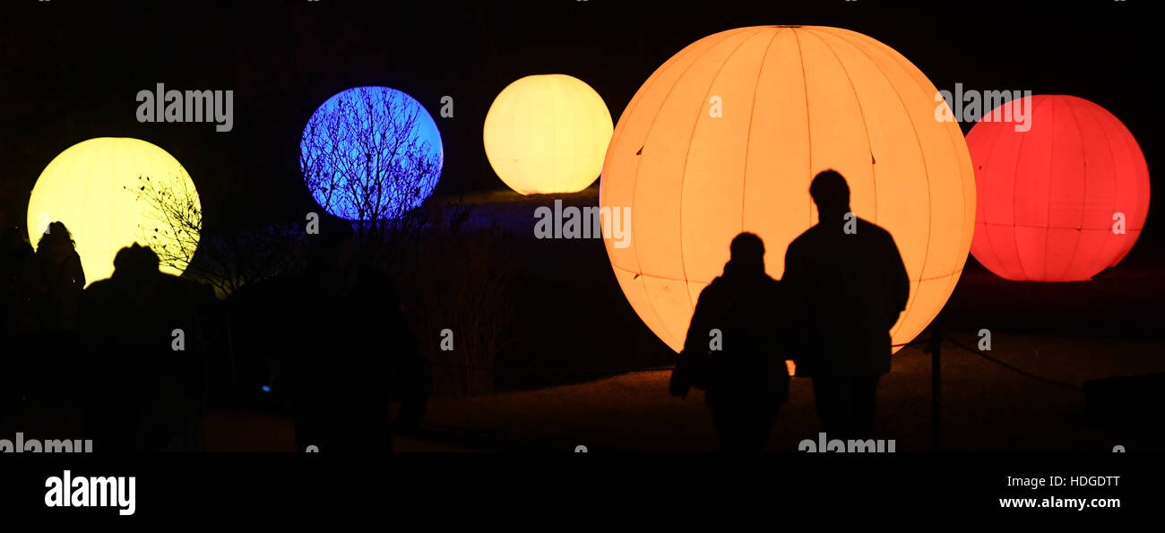 Berlin, Deutschland. 29th Nov, 2016. Besucher gehen am Abend des 29.11.2016 Botanischen Garten in Berlin zwischen den mit Lichterketten illuminierten Bäumen und Hecken des «Christmas Garden». Bis zum 01. Januar 2017 können Besucher auf einem mehr als einen Kilometer langen Rundweg spazieren oder auf einer Eisbahn Schlittschuh laufen. Foto: Soeren Stache/dpa /dpa/Alamy Live News Stock Photo