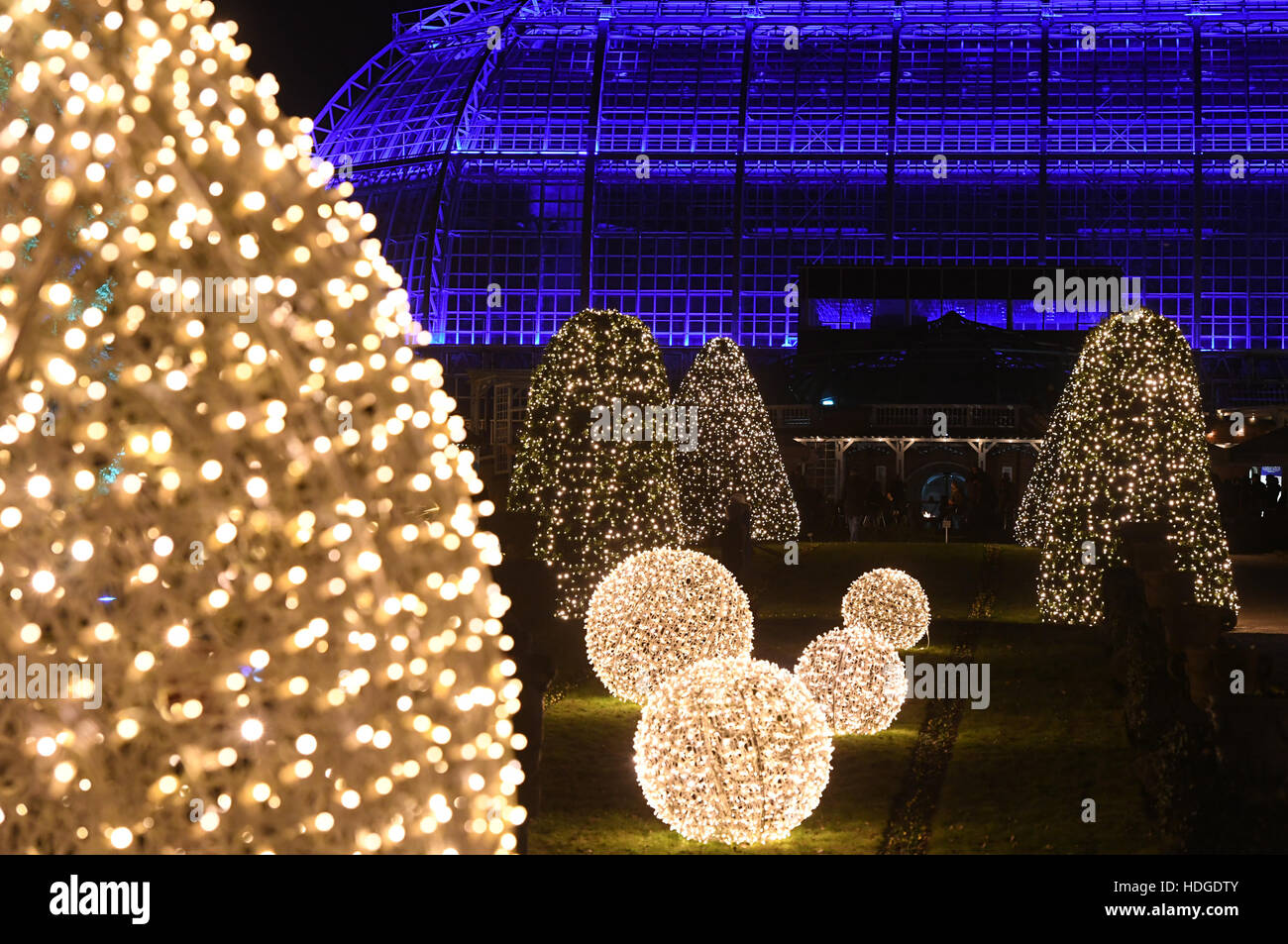 Berlin, Deutschland. 29th Nov, 2016. Besucher gehen am Abend des 29.11.2016 Botanischen Garten in Berlin zwischen den mit Lichterketten illuminierten Bäumen und Hecken des «Christmas Garden». Bis zum 01. Januar 2017 können Besucher auf einem mehr als einen Kilometer langen Rundweg spazieren oder auf einer Eisbahn Schlittschuh laufen. Foto: Soeren Stache/dpa /dpa/Alamy Live News Stock Photo