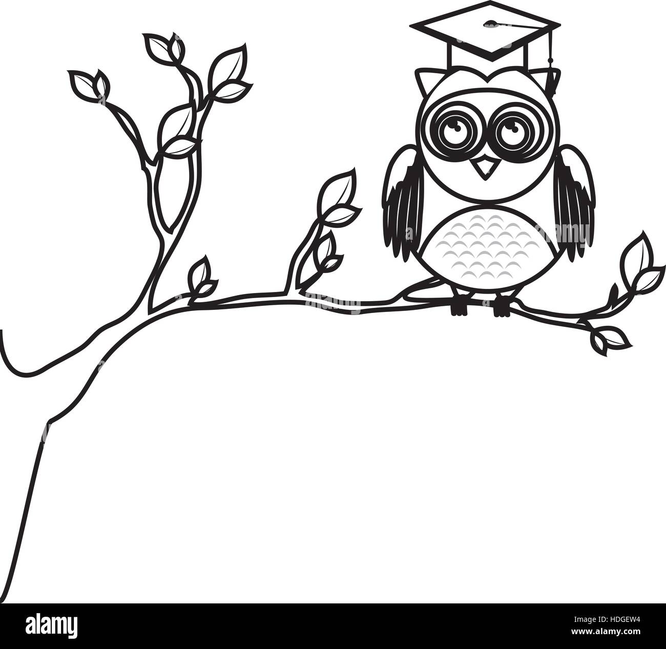 owl with hat graduation vector illustration design Stock Vector Image ...