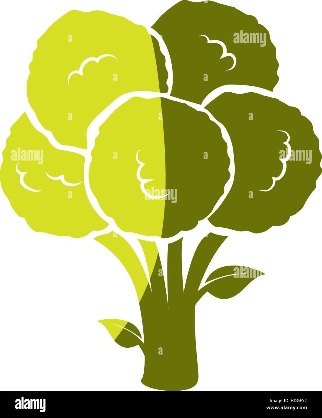fresh vegetable isolated icon vector illustration design Stock Vector ...