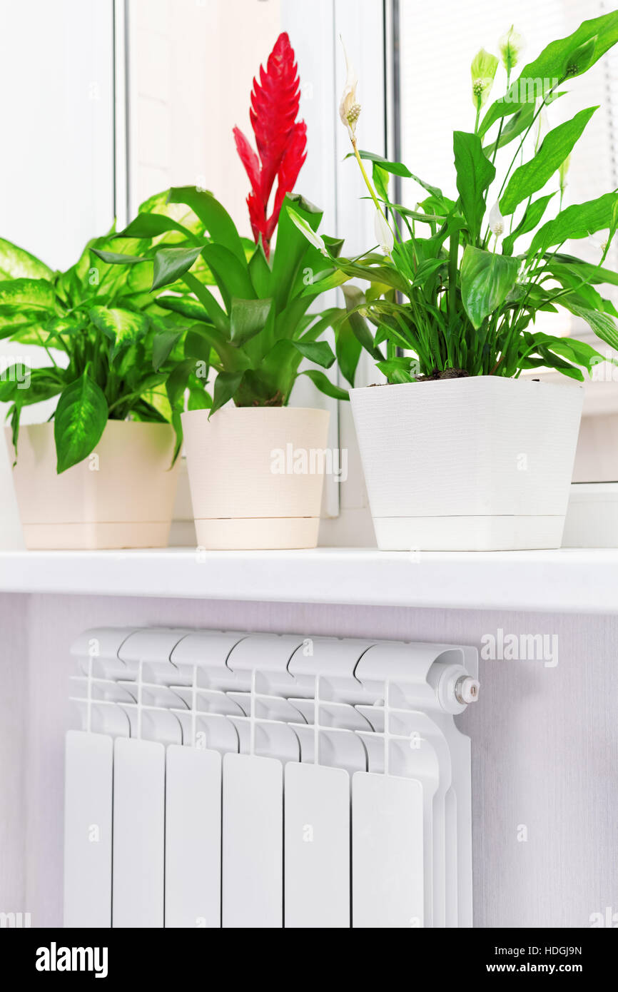 Bimetallic Radiator High Resolution Stock Photography and Images - Alamy