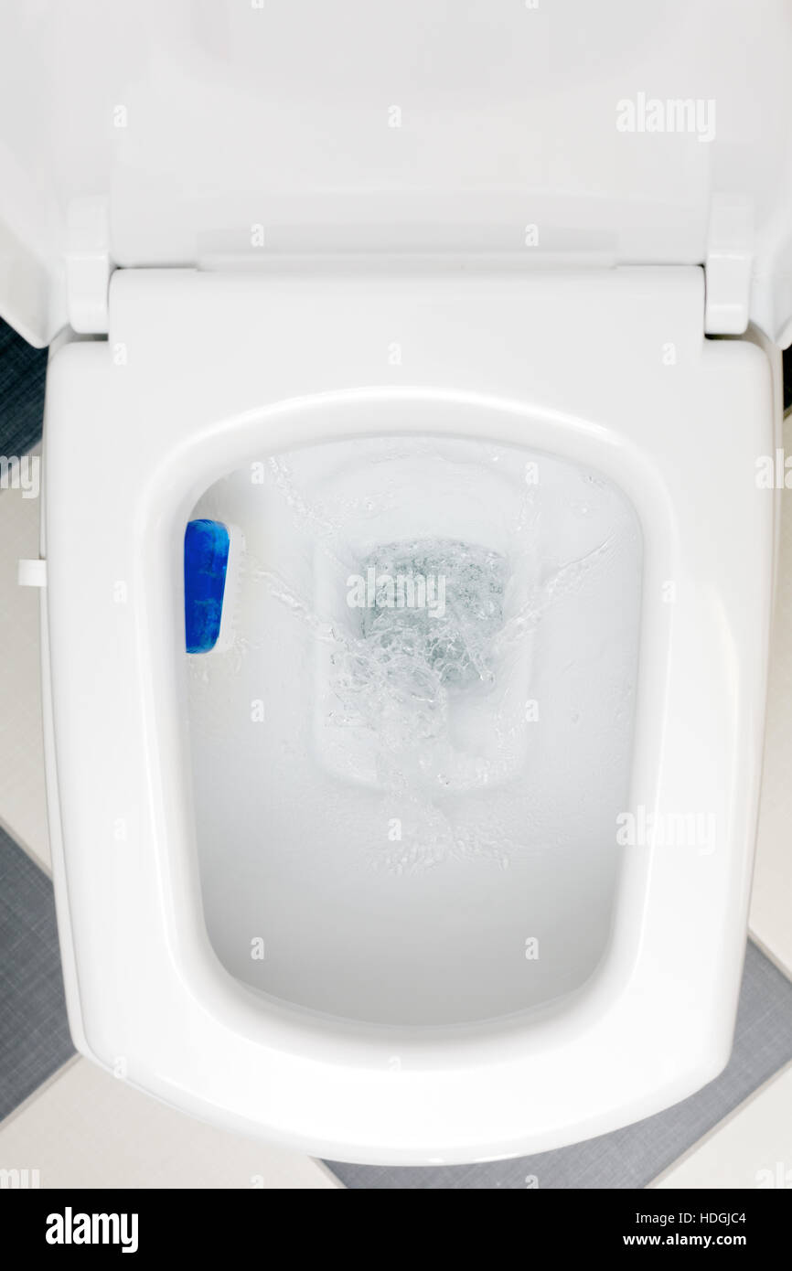 Interior of a typical watercloset Stock Photo Alamy