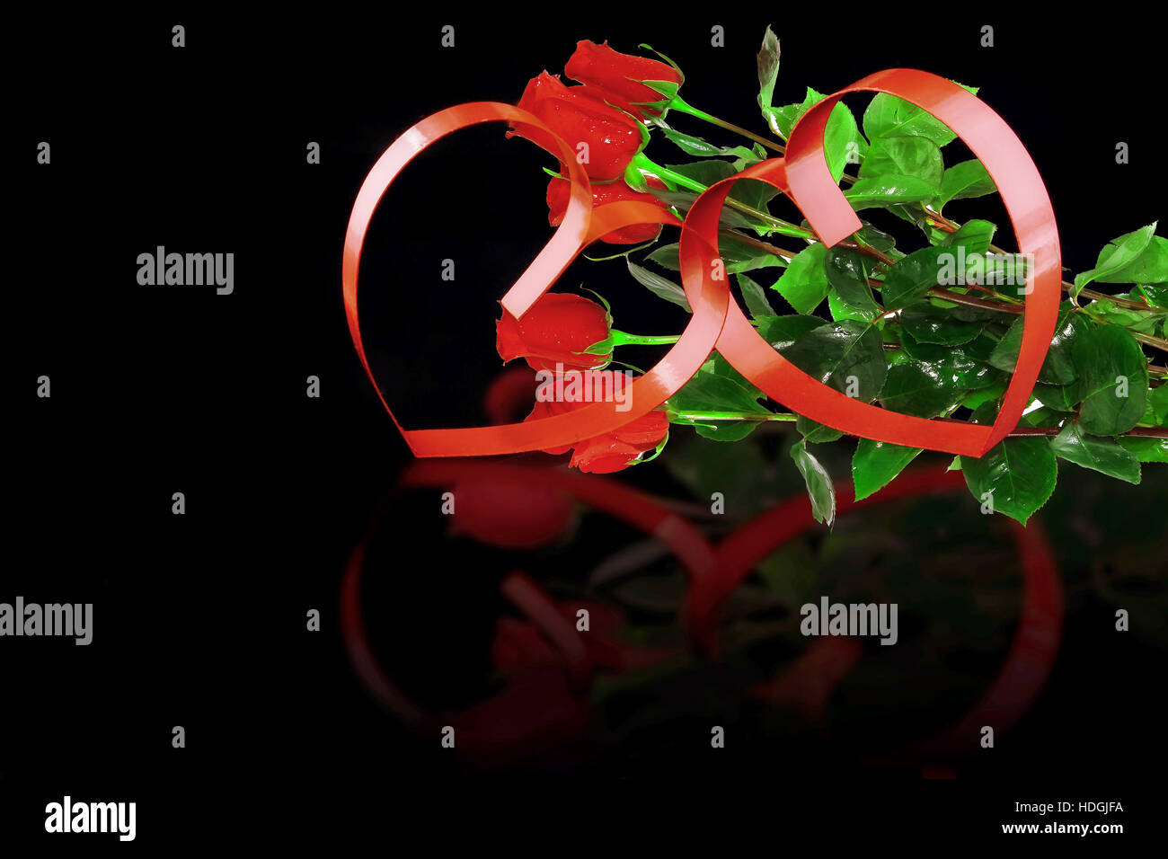 Intertwining roses hi-res stock photography and images - Alamy