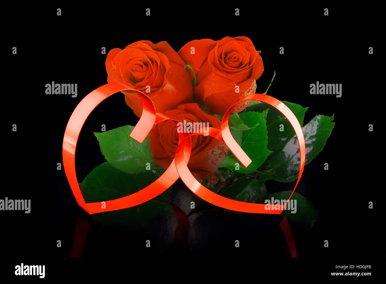 Intertwining roses hi-res stock photography and images - Alamy