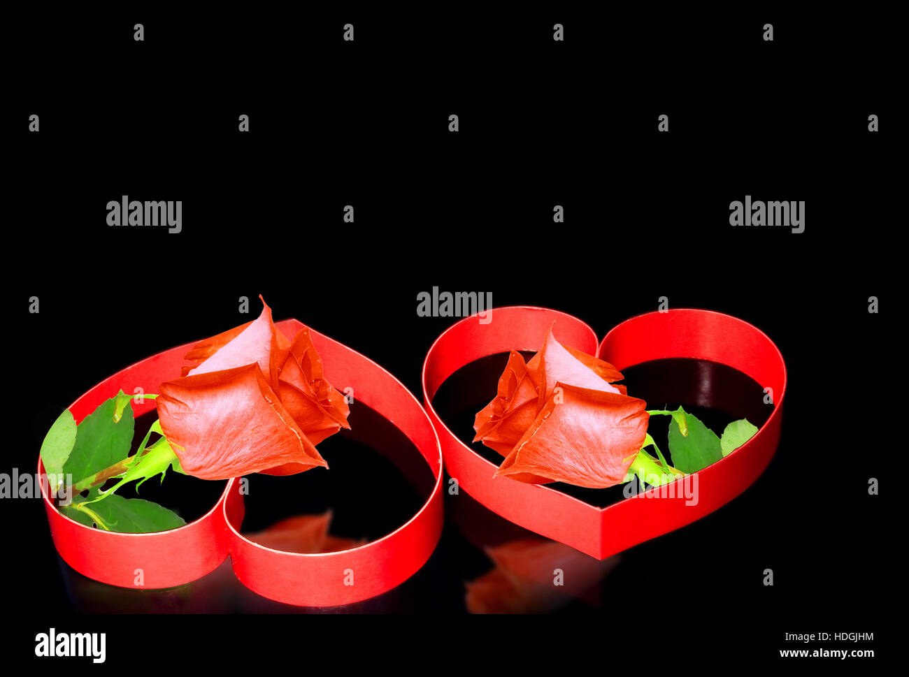 Intertwining roses hi-res stock photography and images - Alamy