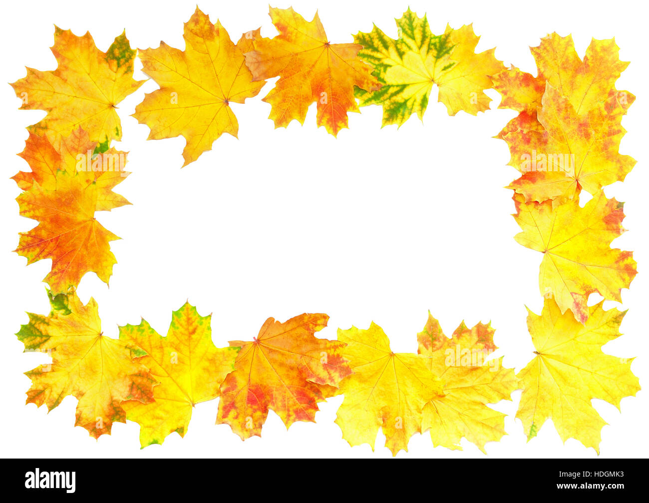 Frame of Autumn Leaf over white. Isolated Stock Photo