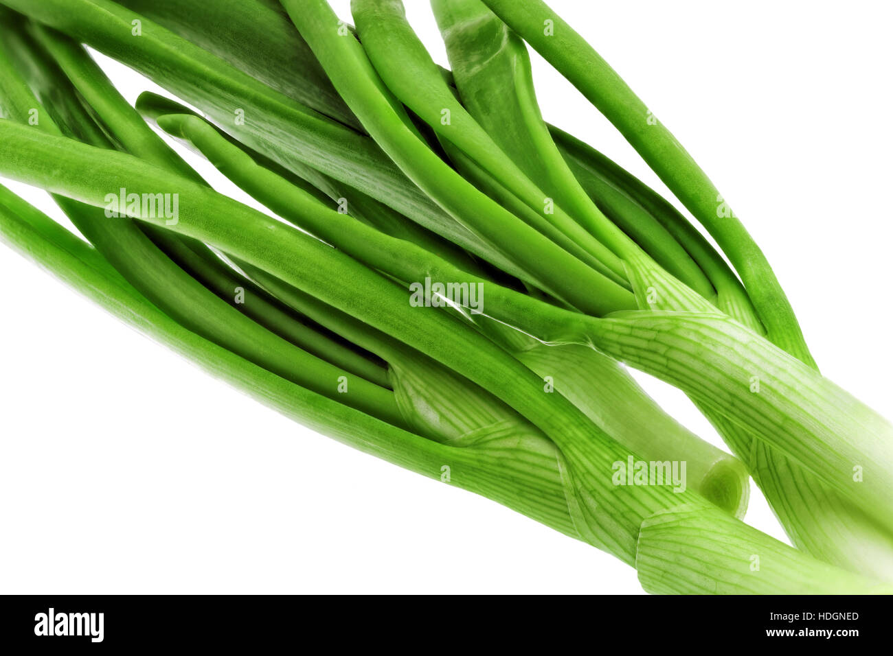 Young onion on white background. CloseUp. Isolated Stock Photo Alamy