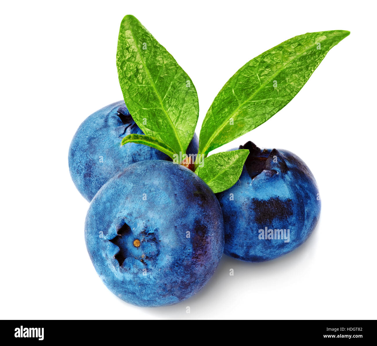 Three fresh blueberry isolated on white background. Stock Photo