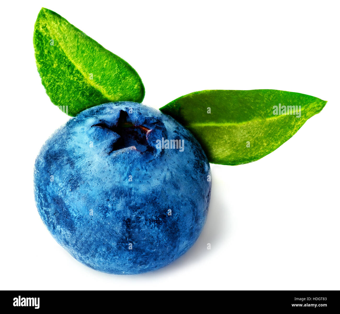Single  fresh blueberry isolated on white background. Stock Photo