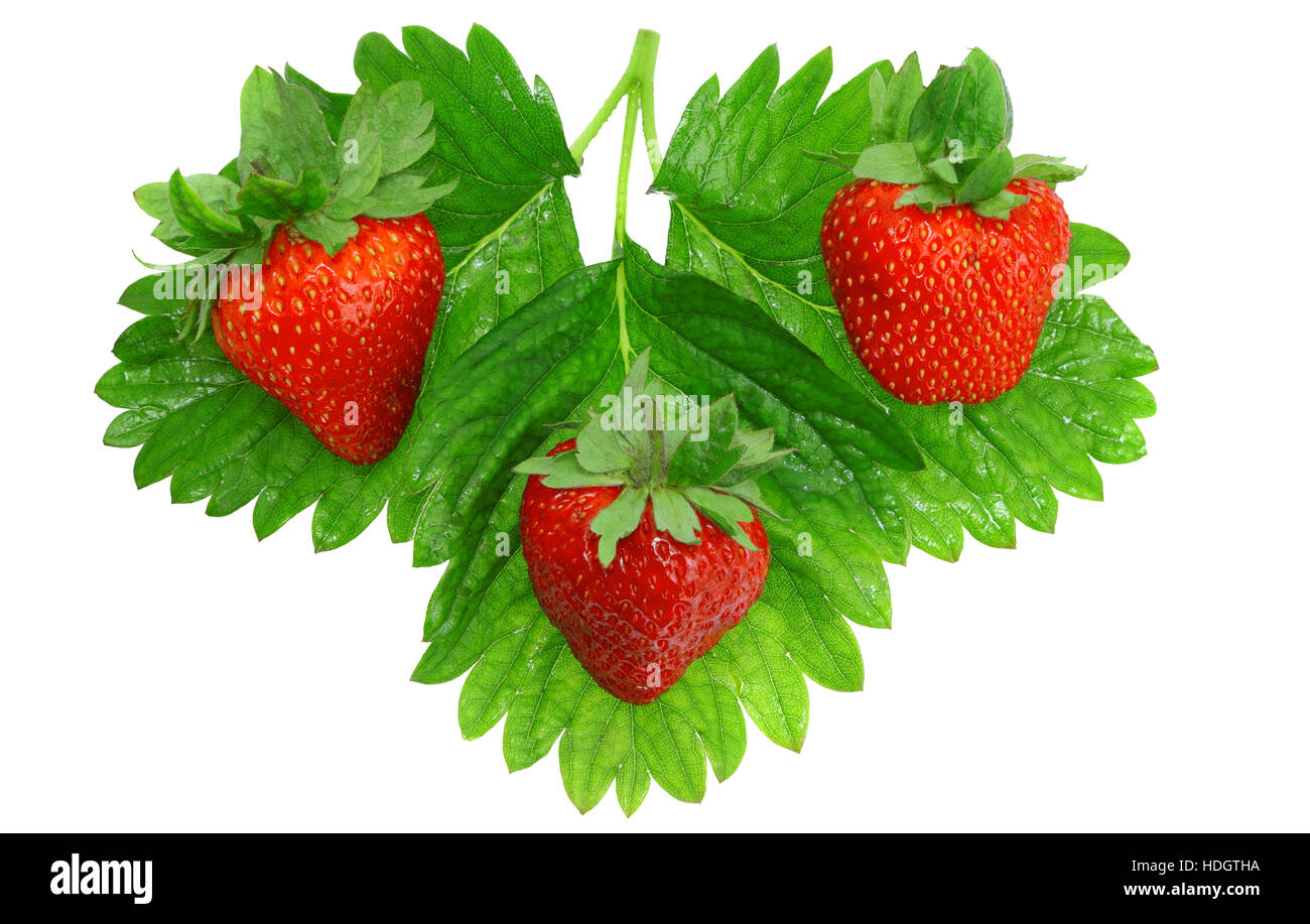 Three fresh strawberries hi-res stock photography and images - Alamy