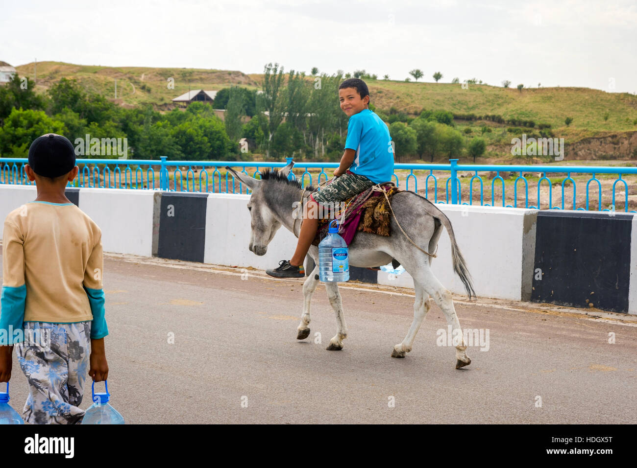 donkey transporting stock photos donkey transporting