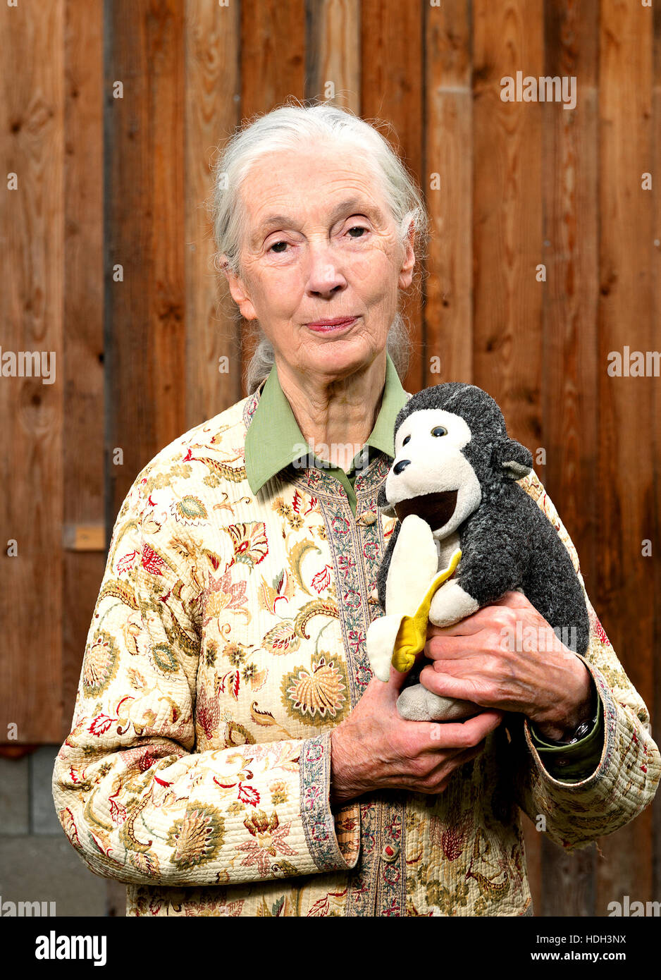 Jane Goodall, Anthropologist stands with her stuffed monkey Mr H. Stock Photo