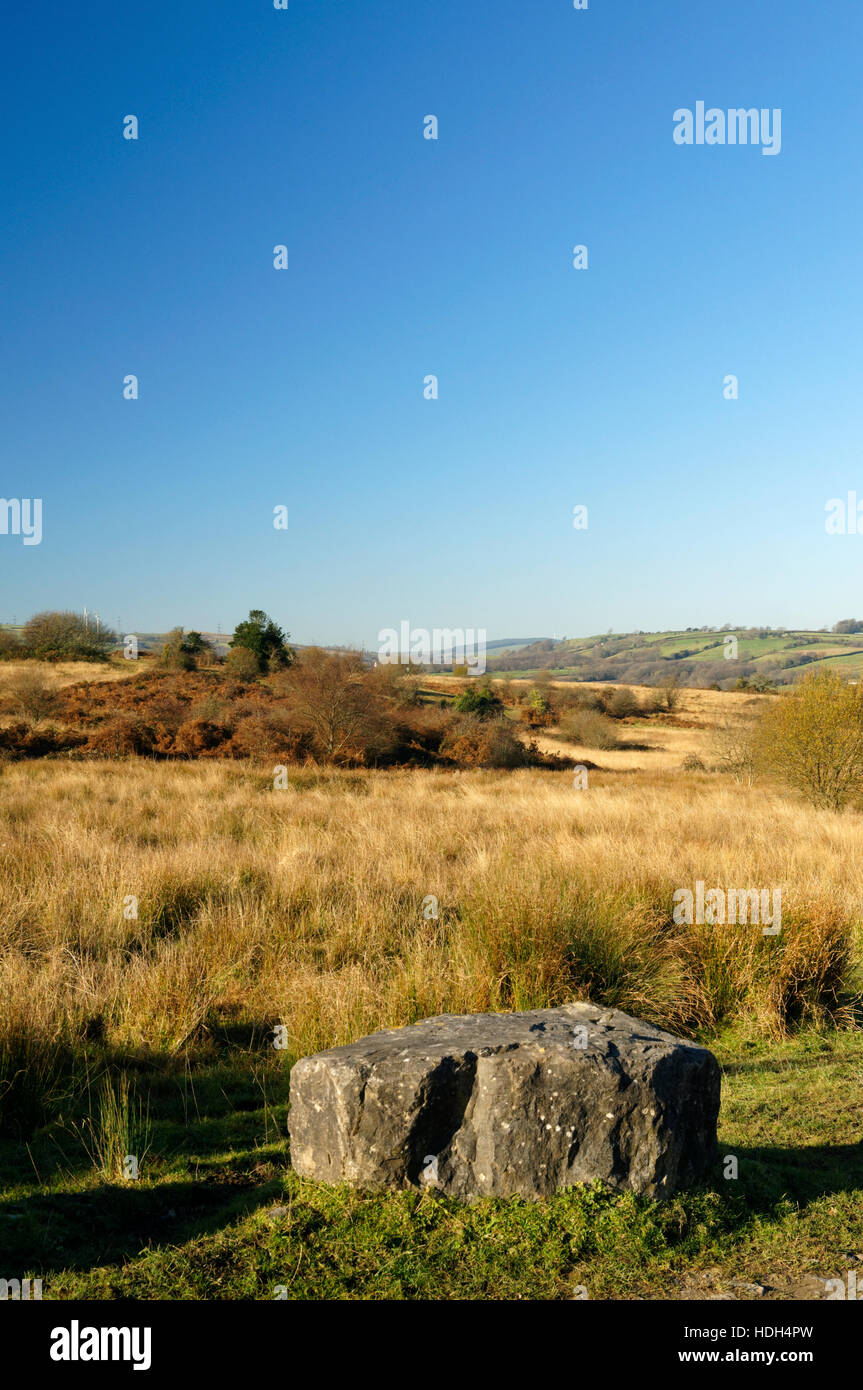 Llantrisant Common, Rhondda Cynon Taf, South Wales Valleys, Wales Stock