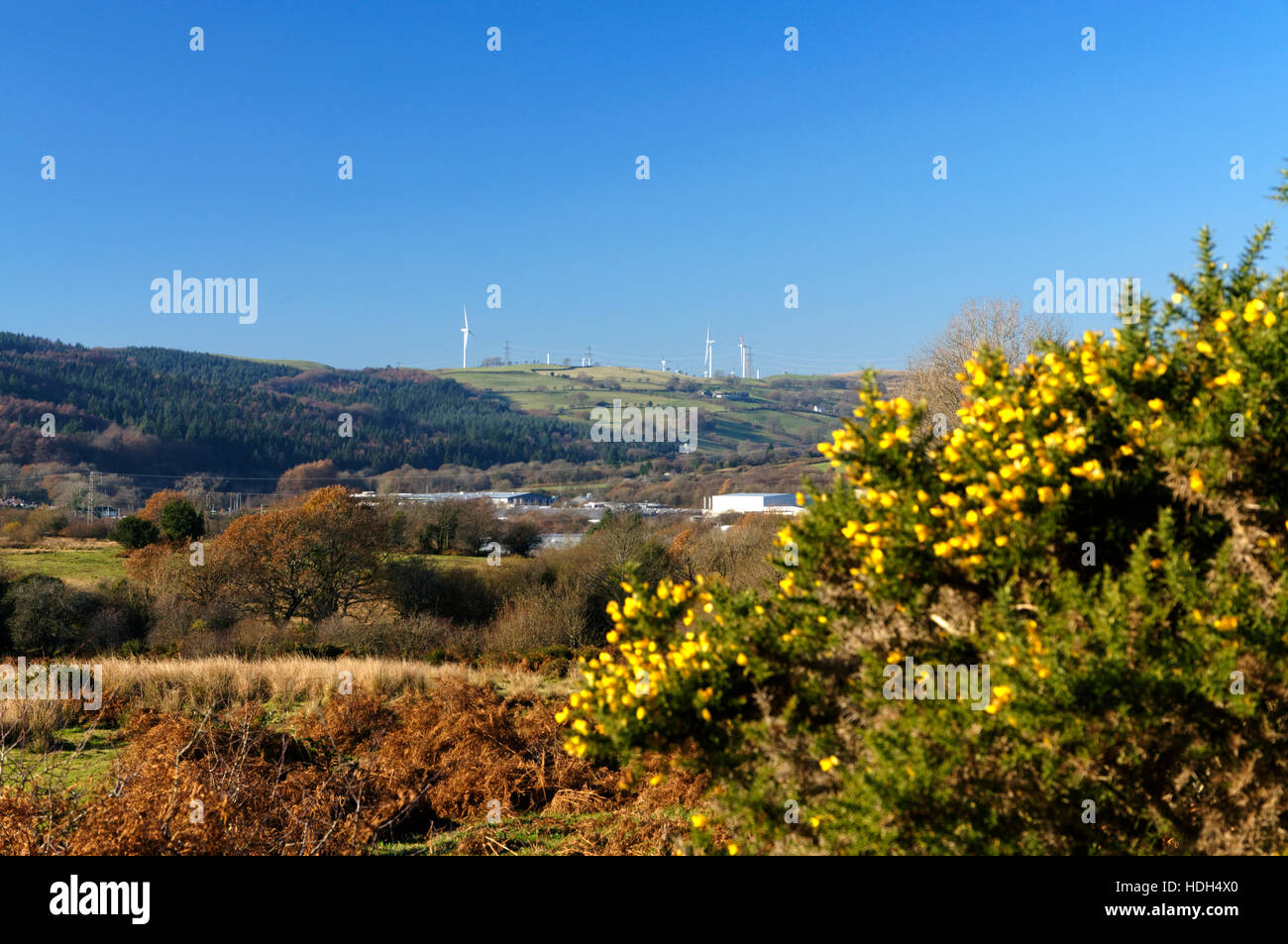 Llantrisant Common, Rhondda Cynon Taf, South Wales Valleys, Wales Stock
