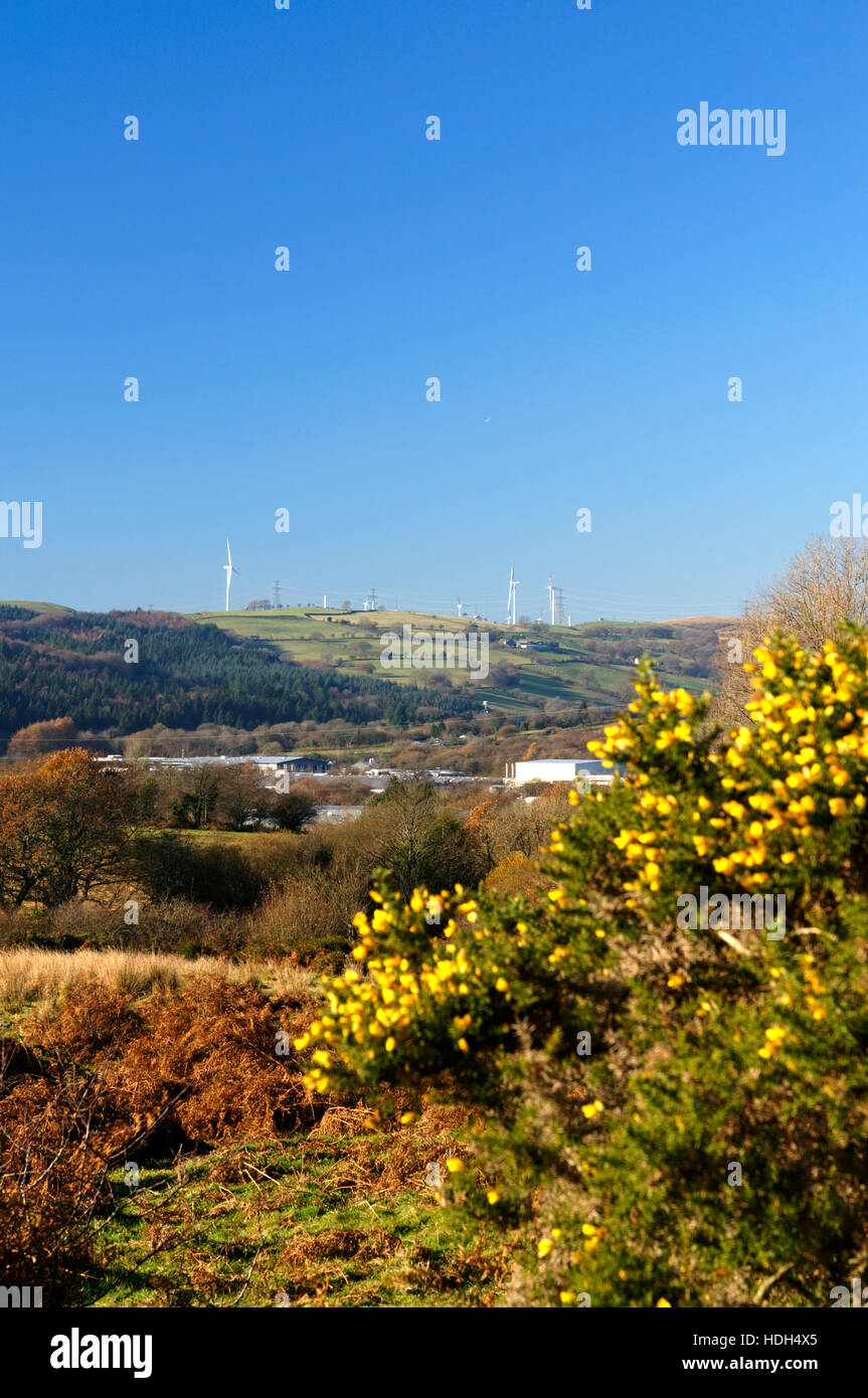 Llantrisant Common, Rhondda Cynon Taf, South Wales Valleys, Wales Stock