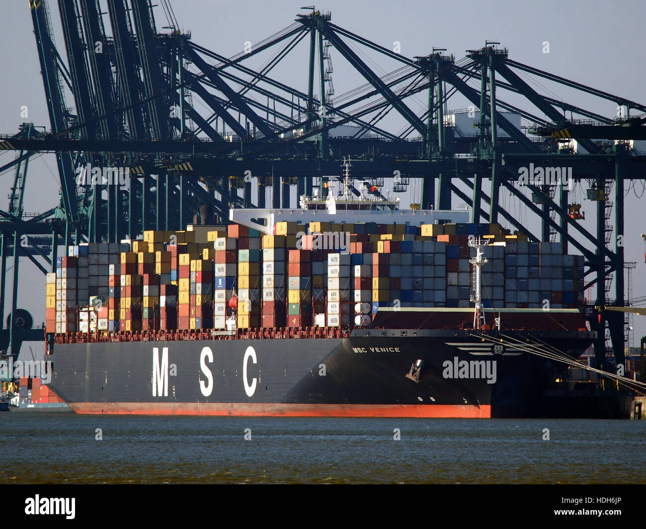 MSC Venice (ship, 2016) IMO 9647473 Port of Antwerp pic1 Stock Photo