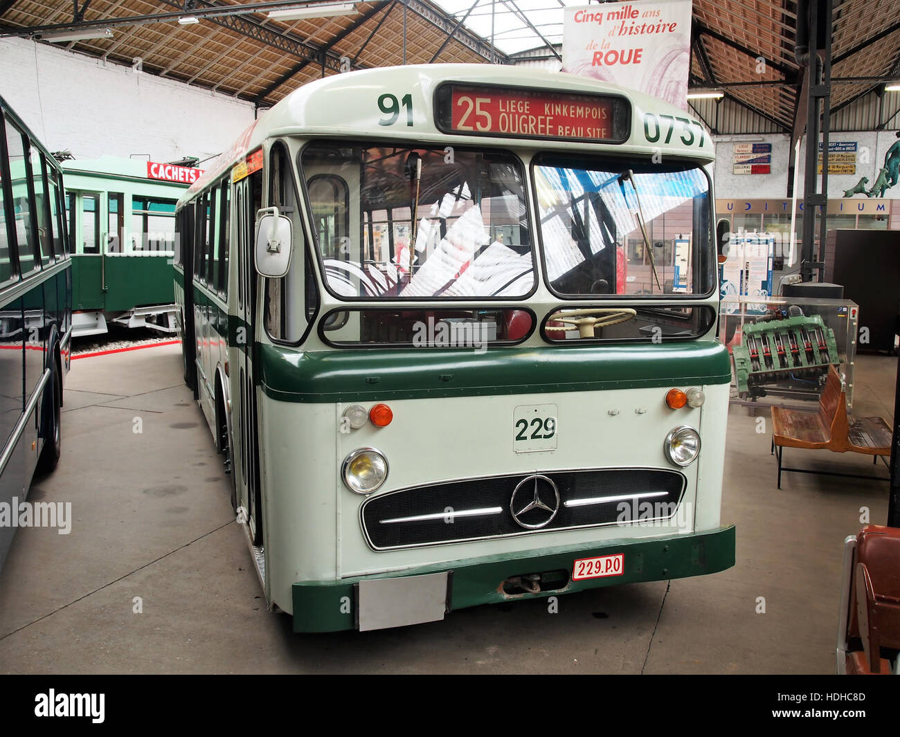 The Mercedes 229 is a historically significant aircraft, known for its innovative design and powerful performance. This model reflects the technological advancements of the era and is remembered for its contributions to aviation development. Stock Photo