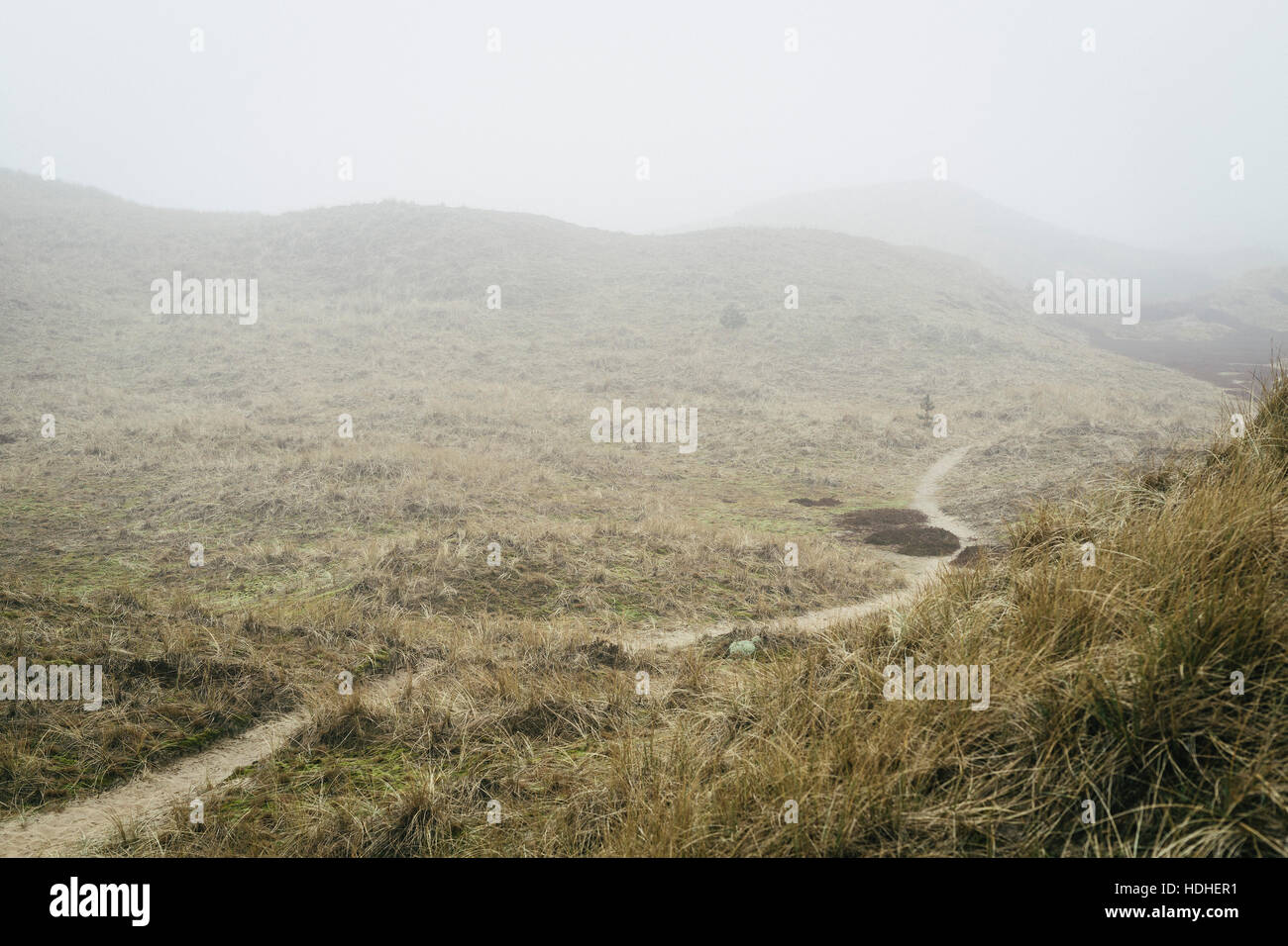 Foggy scenic view hi-res stock photography and images - Alamy