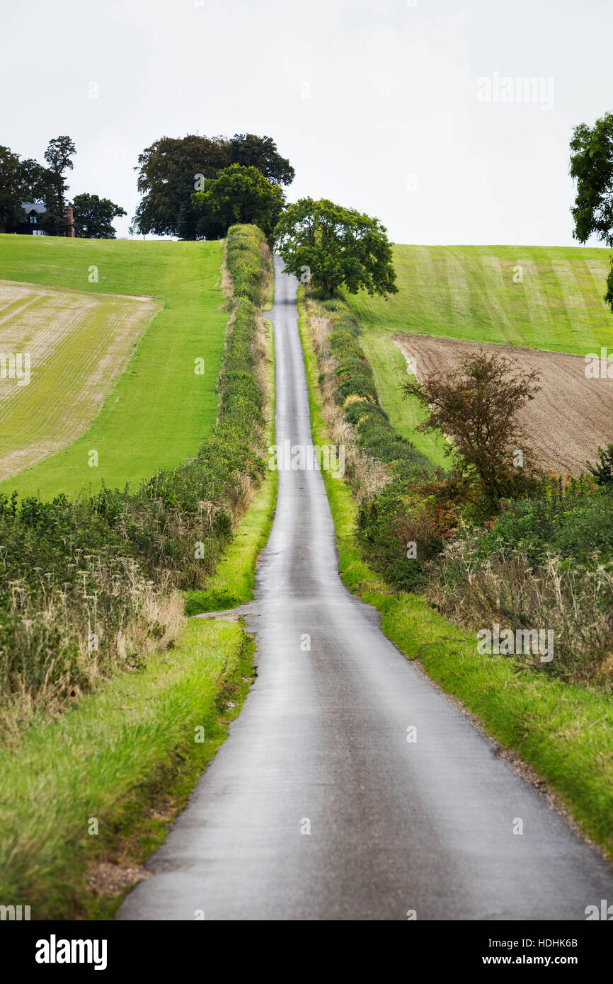 The view up Britwell Hill, a long straight rising road through farmland Stock Photo