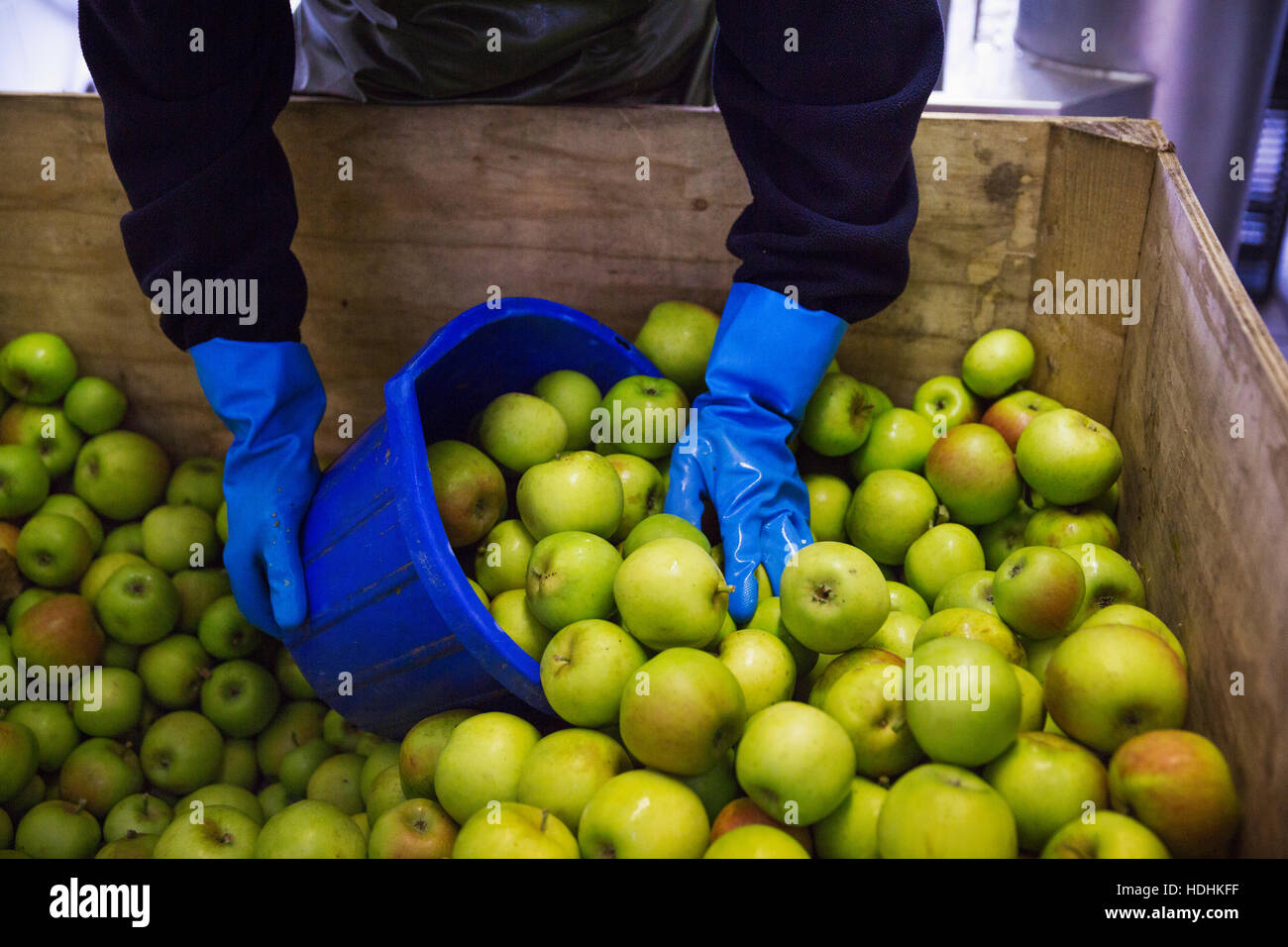 Small green apples hi-res stock photography and images - Alamy