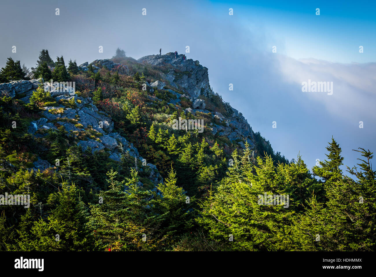 Pine trees and rocky summit, at Grandfather Mountain, North Carolina Stock Photo Alamy
