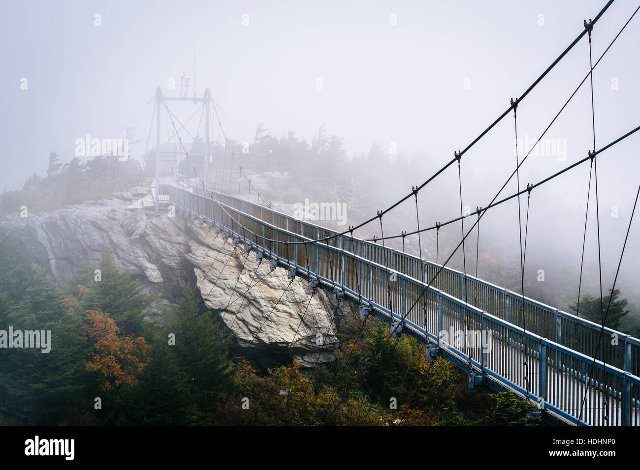 The Mile High Swinging Bridge In Fog At Grandfather