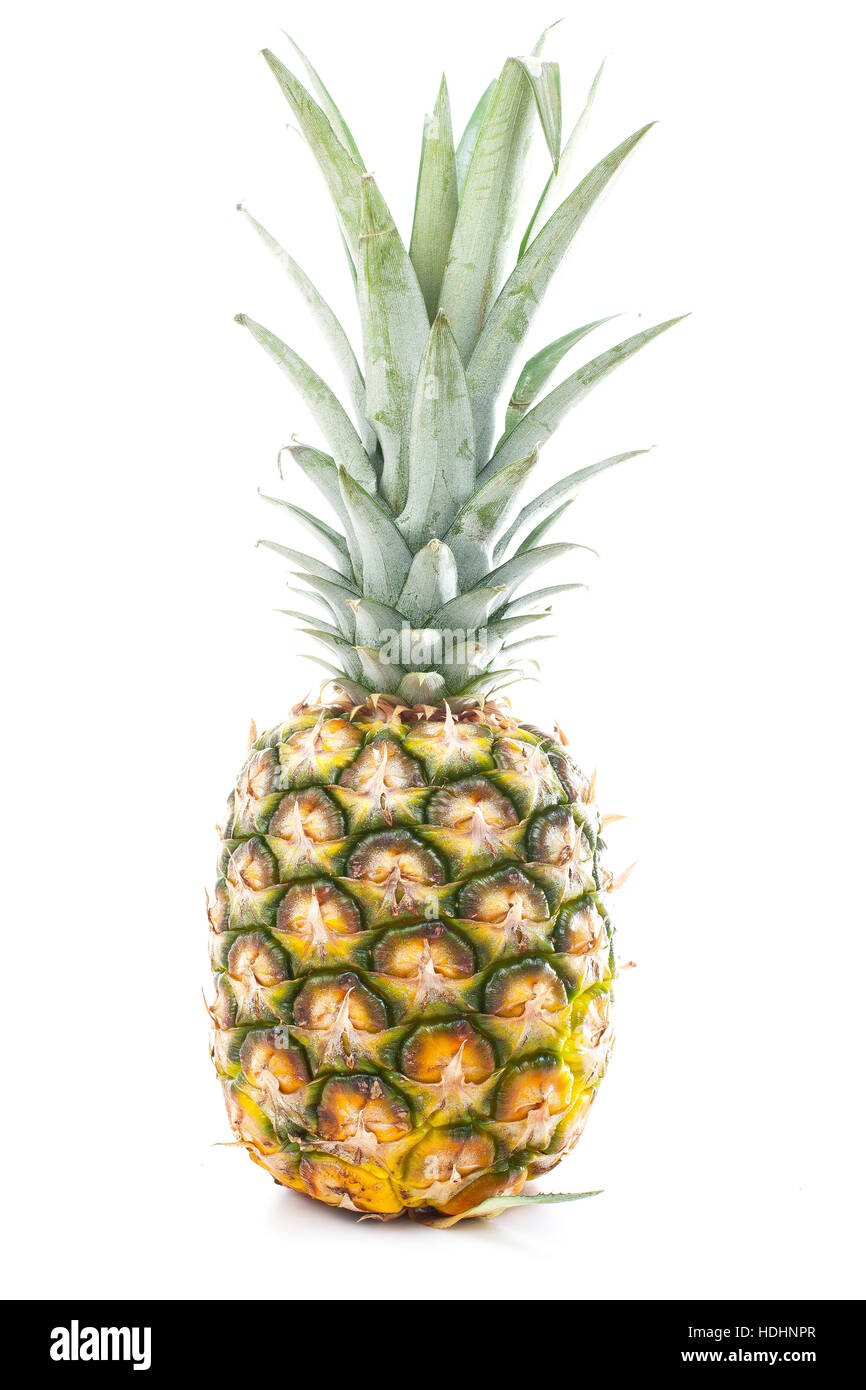 Pineapple in white studio background. Sweet delicious mellow tropical fruit. Full whole yellow pineapple. Stock Photo