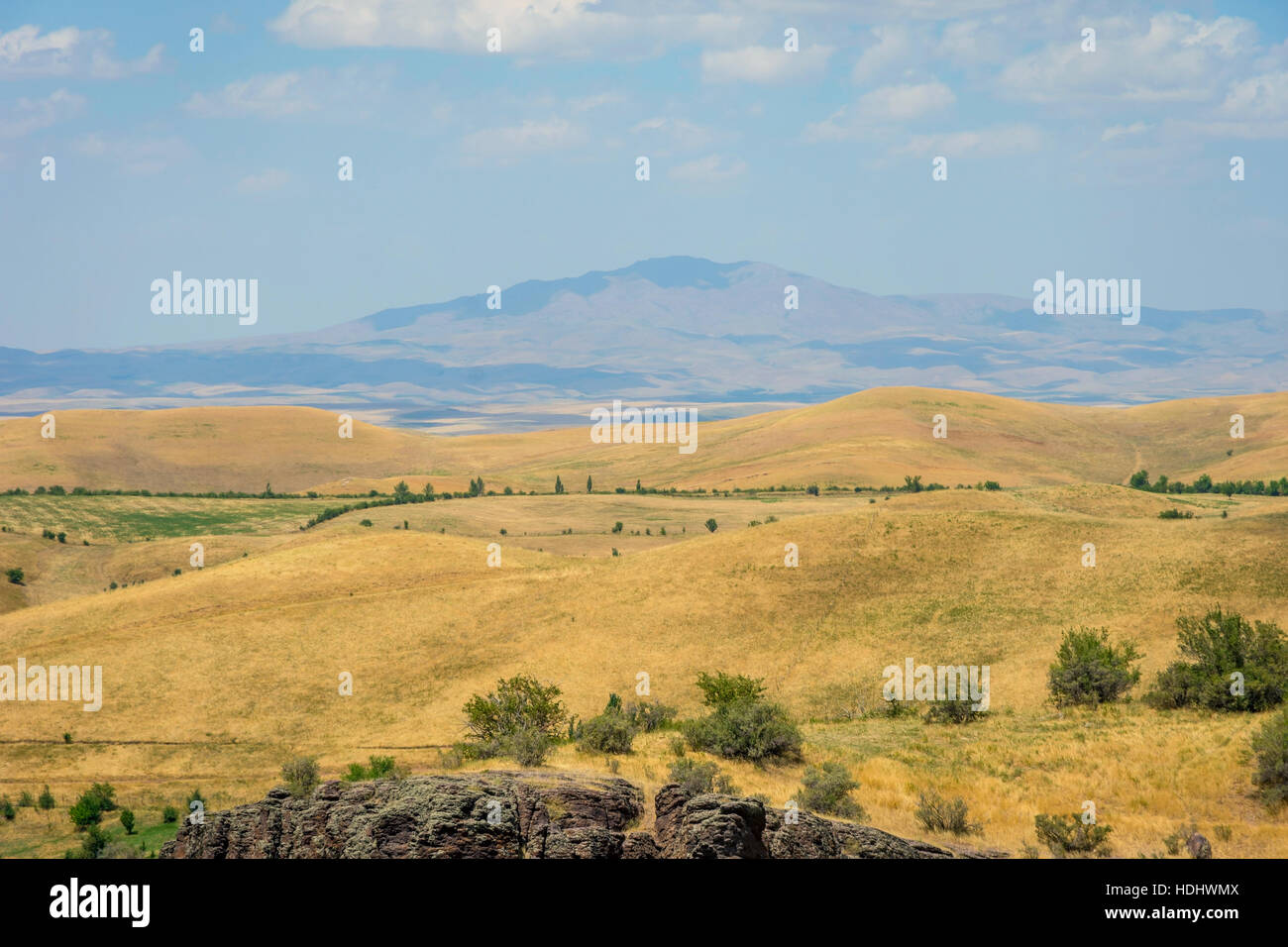 Endless golden color kazakh grass landscape Stock Photo