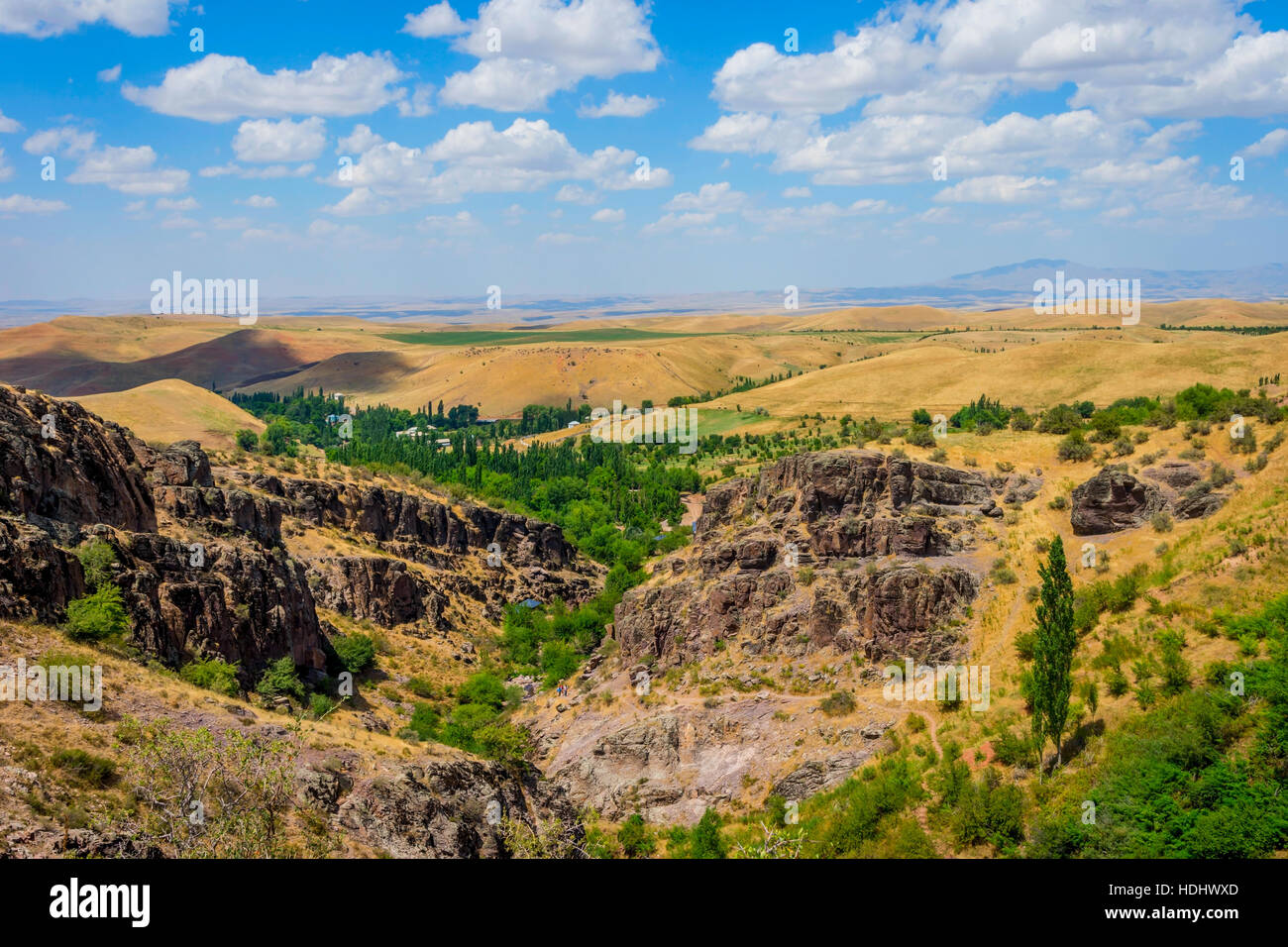 Endless golden color kazakh grass landscape Stock Photo