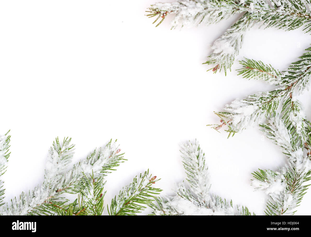 Winter frame of snow-covered fir branches and place for text Stock Photo