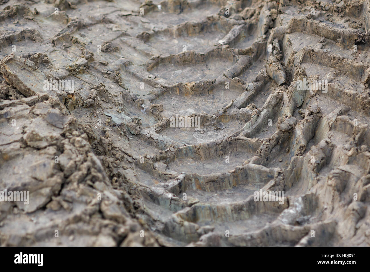 traces of tires on ground. imprint car wheels Stock Photo