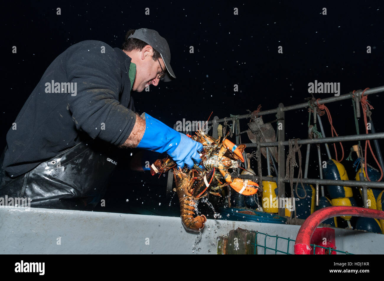 Hauling lobsters hires stock photography and images Alamy