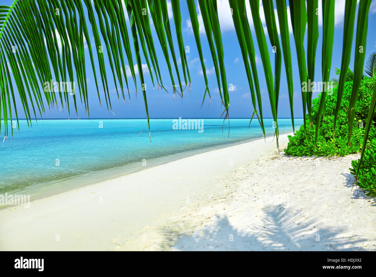 Shoreline of a tropical island in the Maldives and view of the Indian