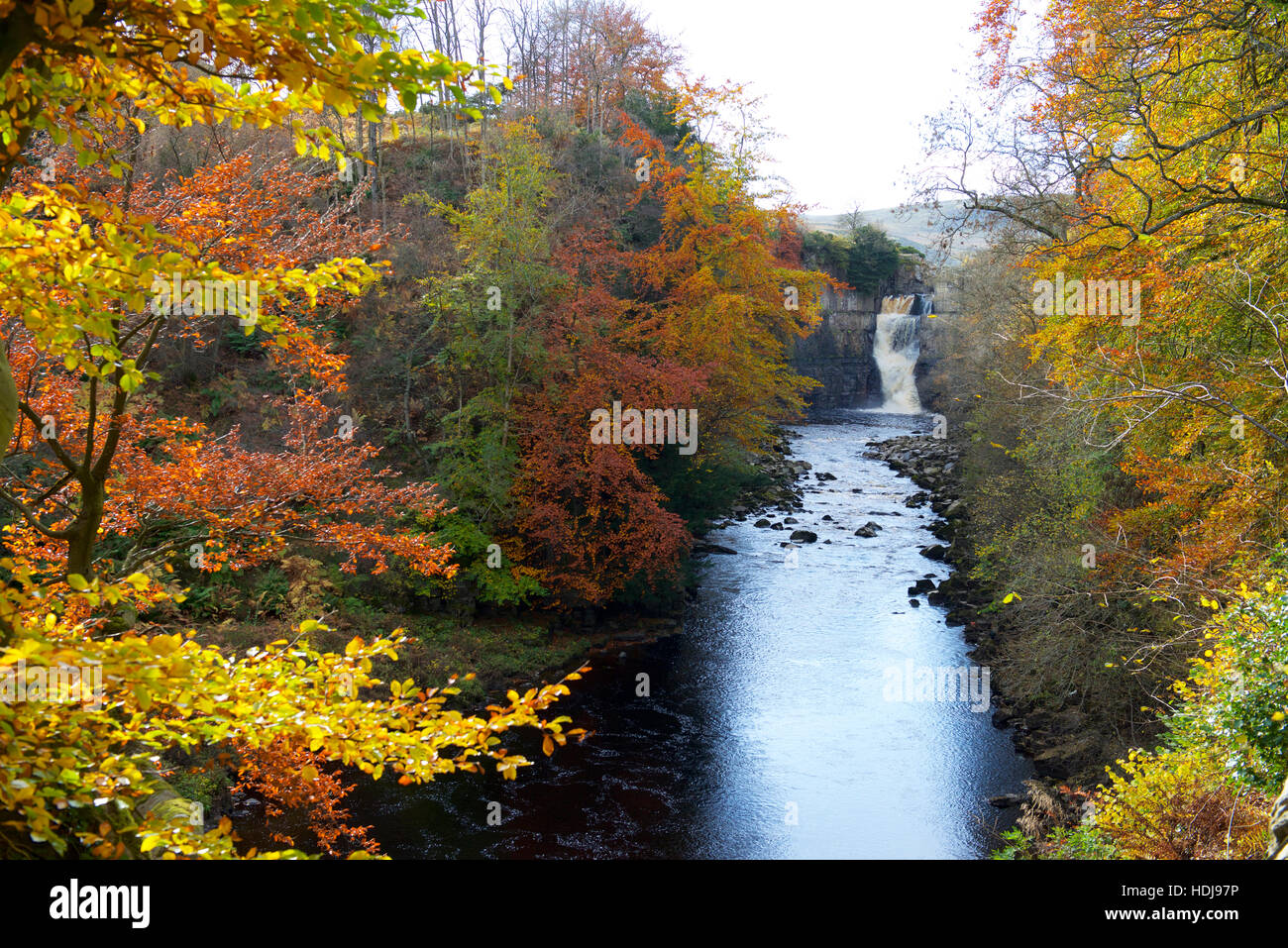 High Force Waterfall  Middleton-in-Teesdale  Co Durham Stock Photo