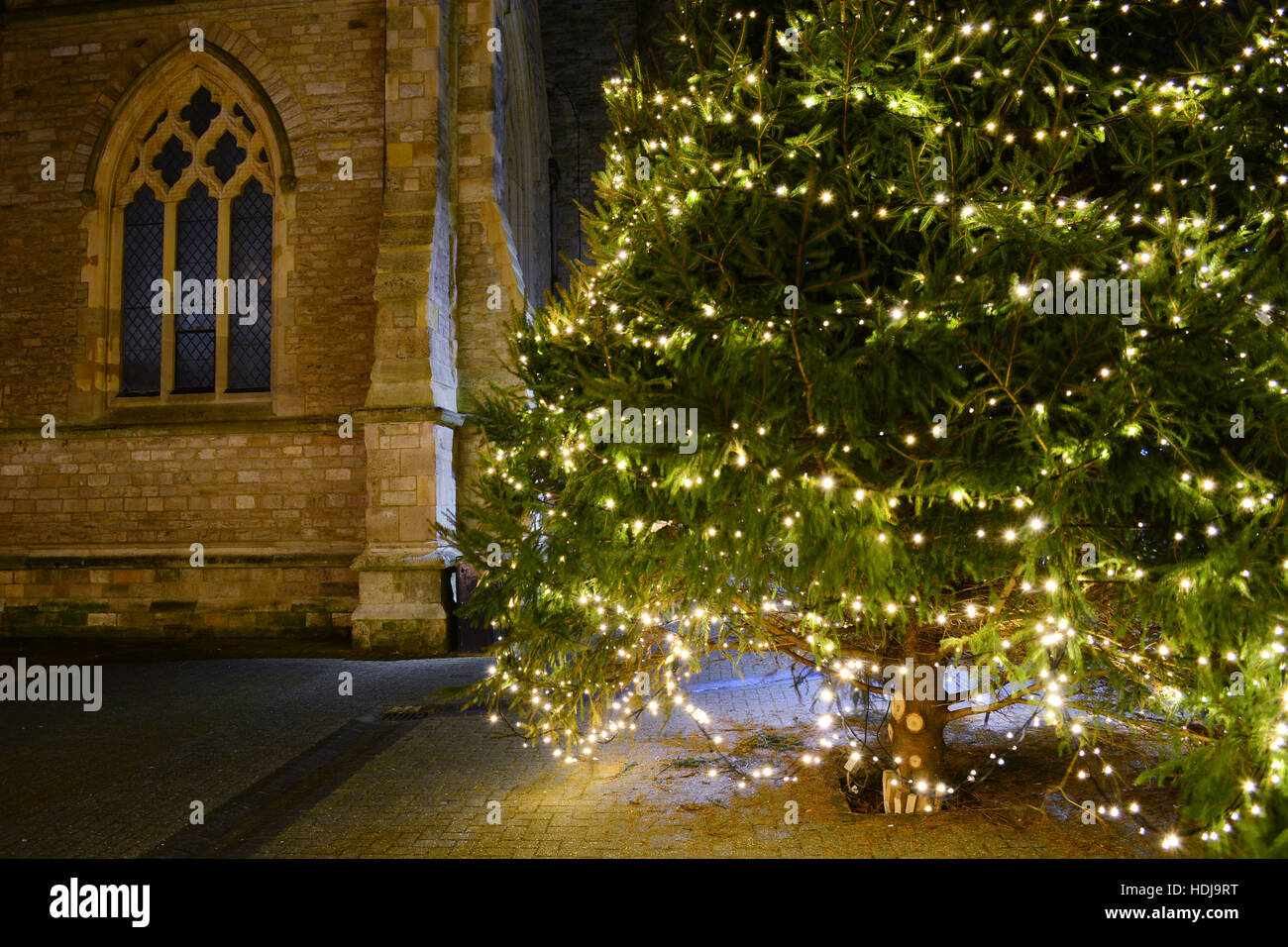 Christmas tree and old church window at St Thomas Square, Newport, Isle