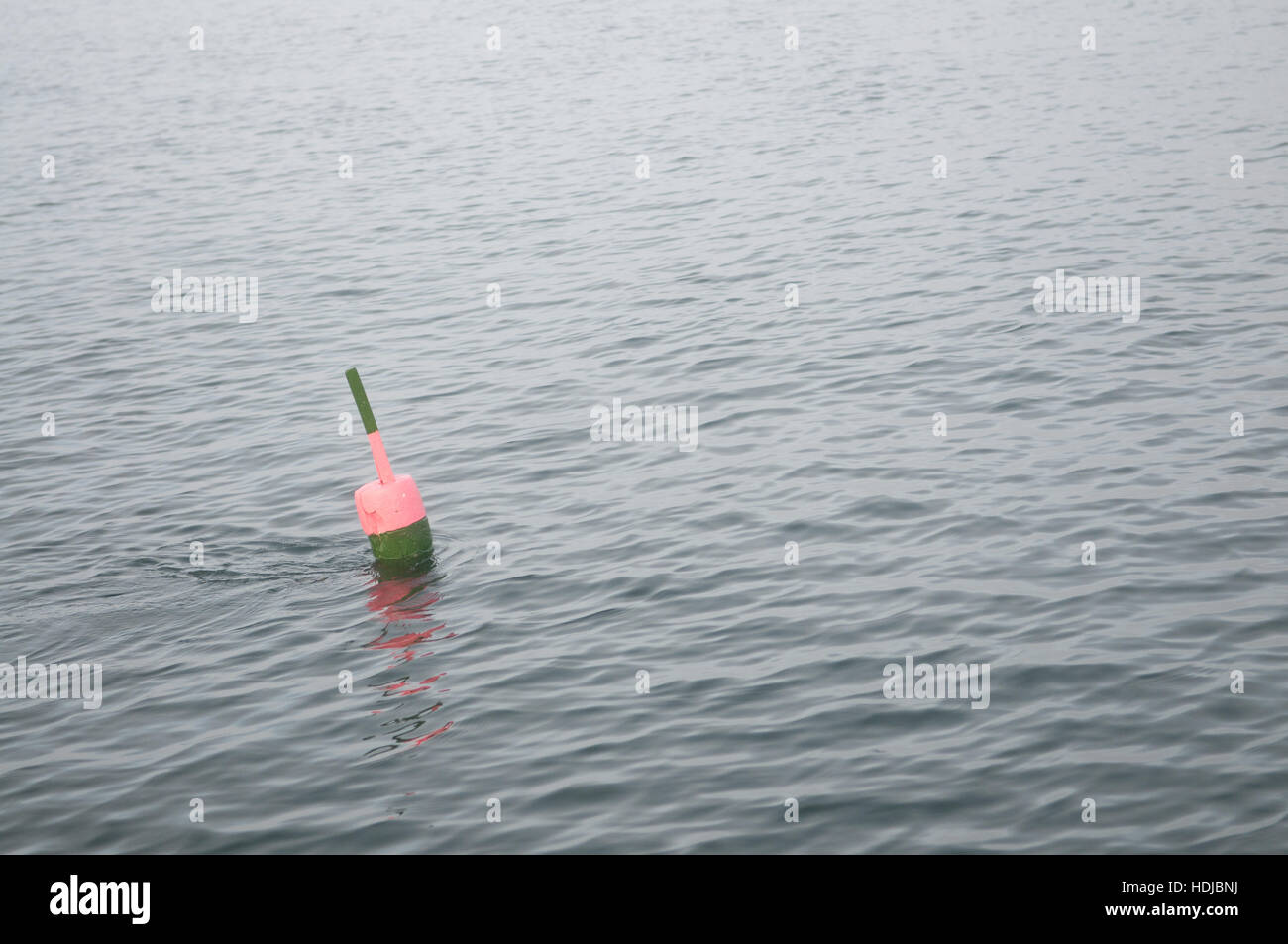 Lobster trap buoy underwater hi-res stock photography and images - Alamy