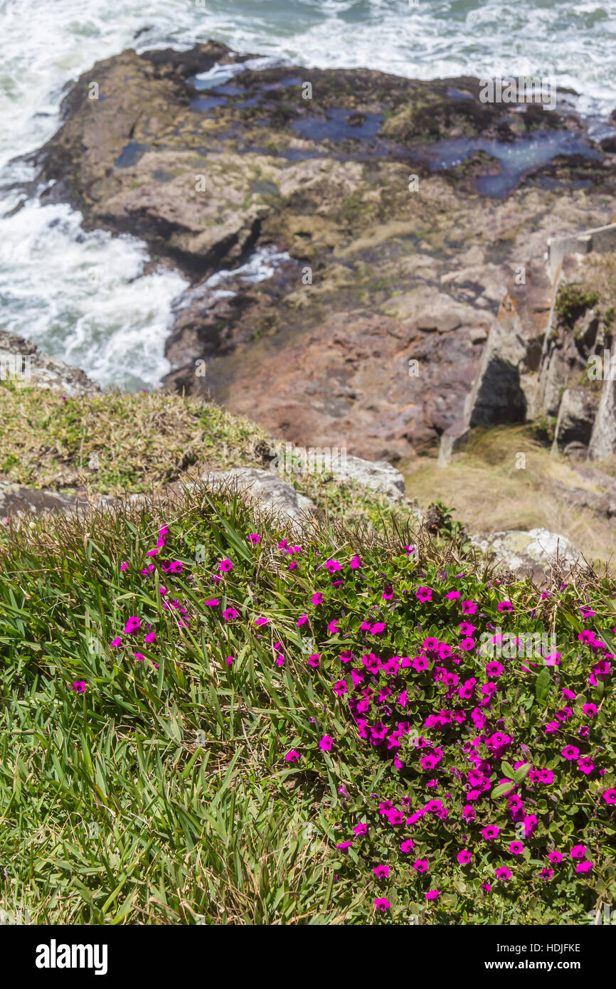 Beautiful sunny beach hi-res stock photography and images - Alamy
