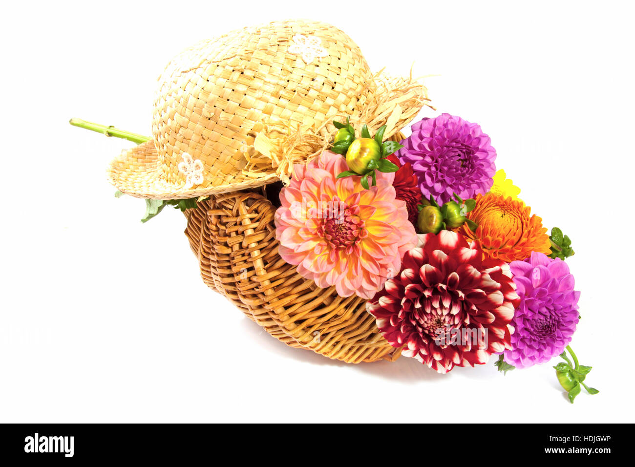Dahlia in wooden basket with straw hat isolated over white Stock Photo