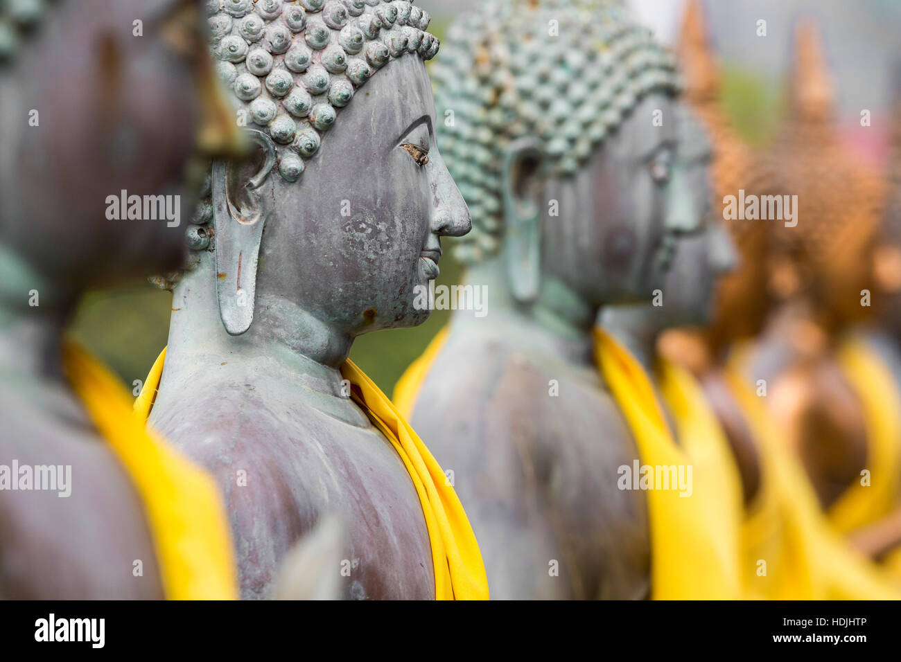 Buddha Statues in Seema Malaka Temple, Colombo, Sri Lanka - Stock Image