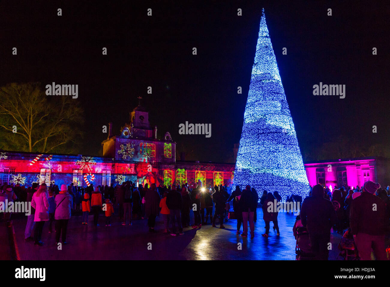 Longleat Festival of Light Singing Christmas tree light show Stock