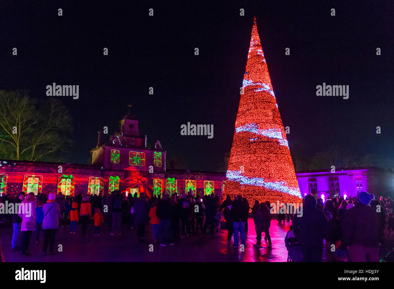 Longleat Festival of Light Singing Christmas tree light show Stock