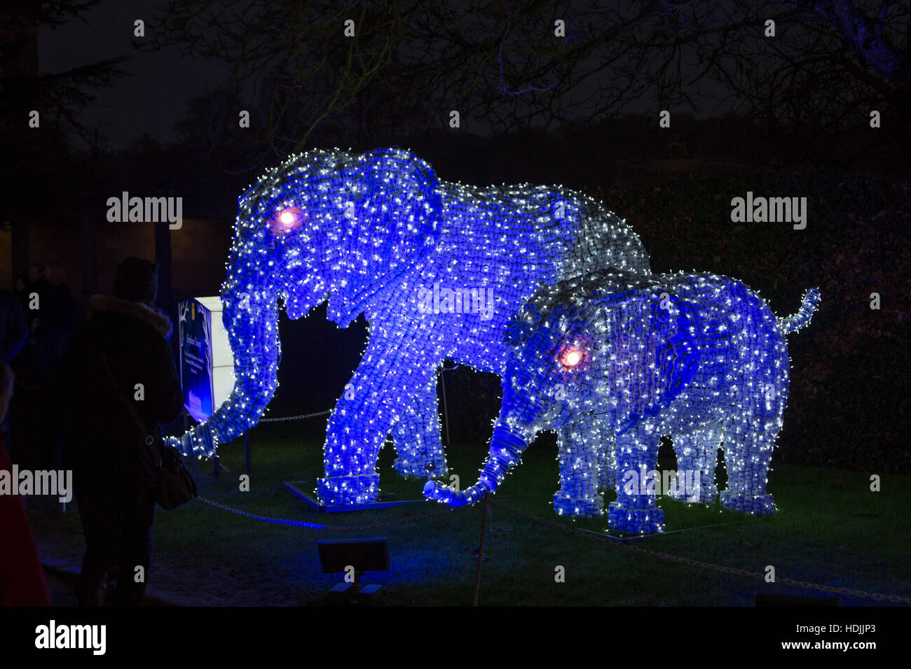 Longleat Festival of Light Stock Photo Alamy