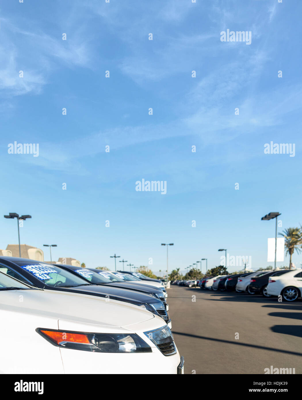 Row of cars at a dealership lot with a blue sky. Stock Photo