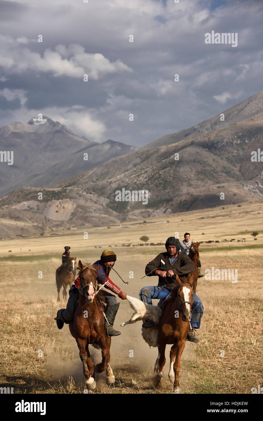 Horse rider trying to steal goat carcass in game of Kokpar Tudabarai in Aksu Zhabagly Kazakhstan Stock Photo