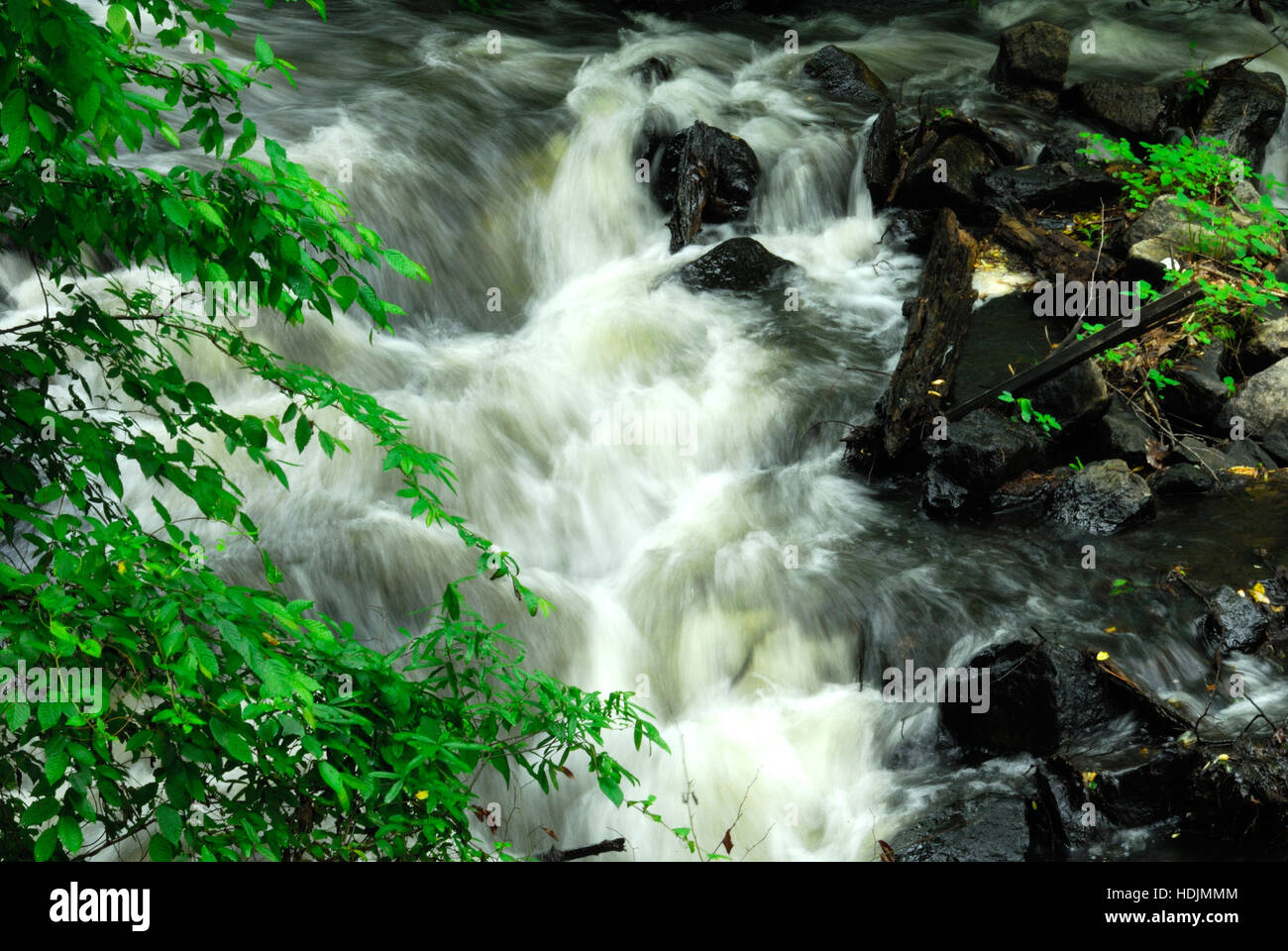 landscape, waterfall, Appomattox River, Dinwiddie County, Virginia USA Stock Photo