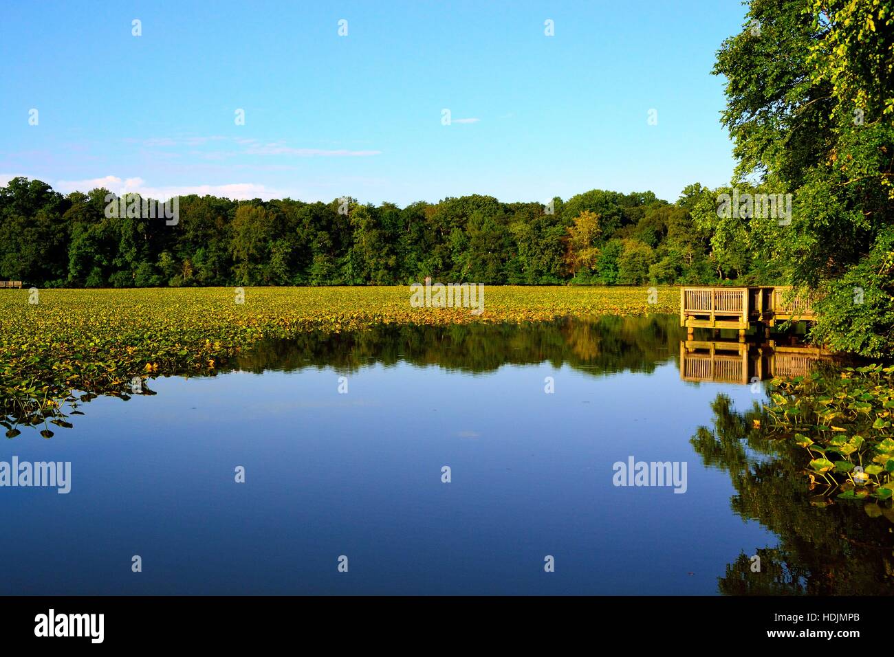 Rancocas hi res stock photography and images Alamy